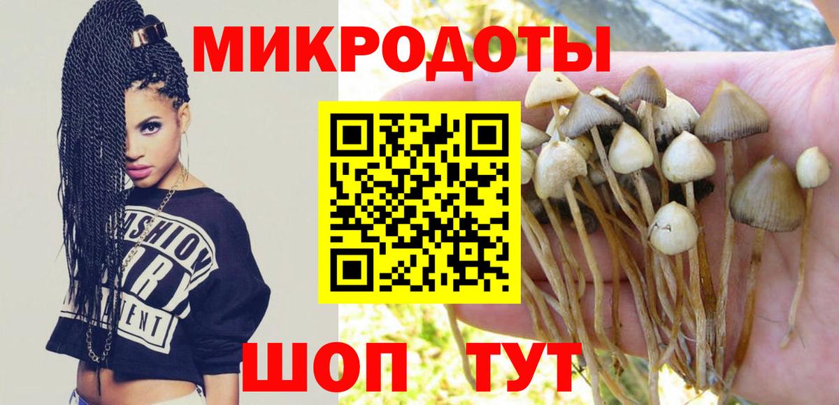 Галлюциногенные грибы GOLDEN TEACHER Богородск