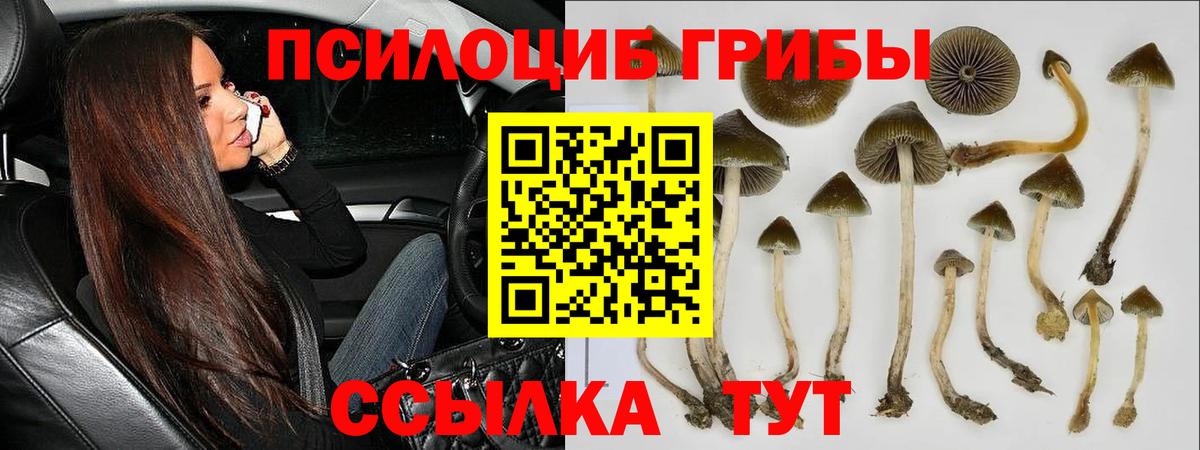 Галлюциногенные грибы мицелий  Вход с VPN  Богородск 